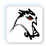 Birds of Mongolia App Contact