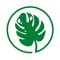 Icon Flora - Houseplant Care