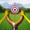 Slingshot Championship icon