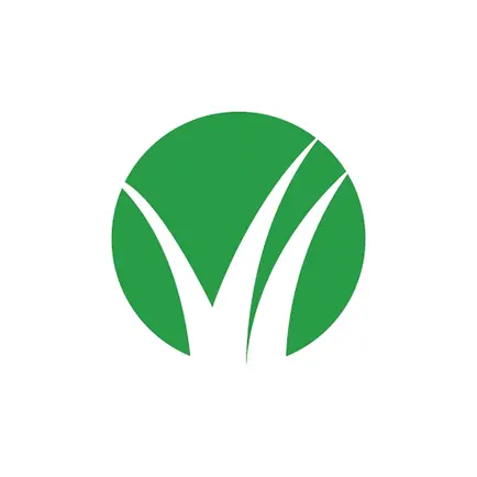 Be Better University Читы