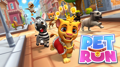 Pet Run - Puppy Dog Run Game Screenshot