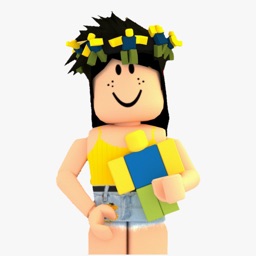 Roblox Skin