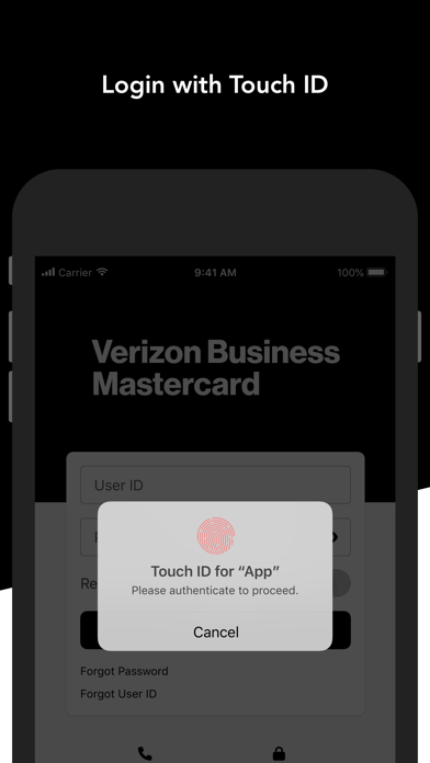 Verizon Business Mastercard Screenshot