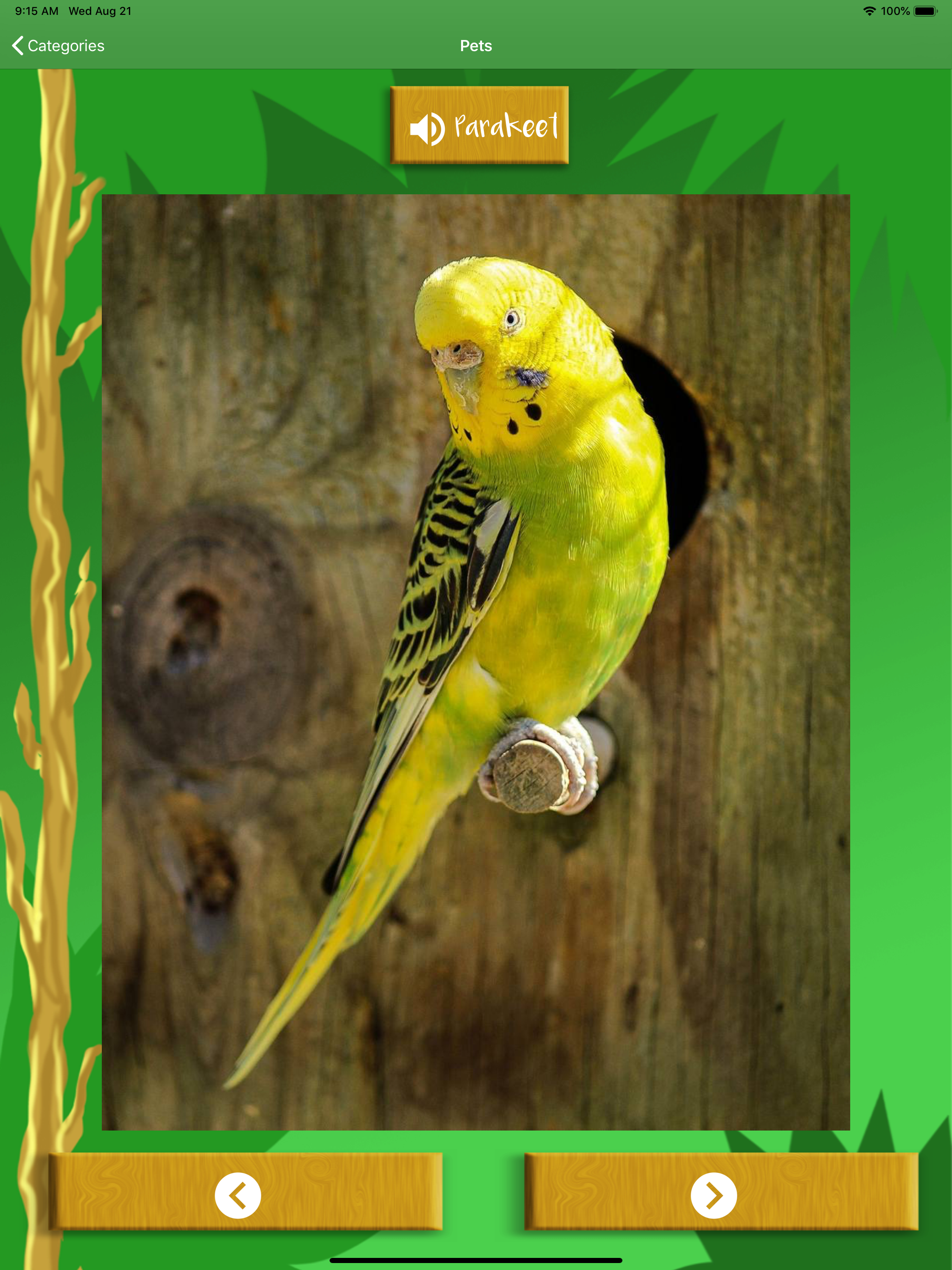 Animal Sounds for Kids - Learn screenshot 8
