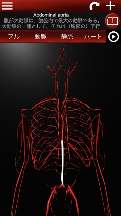 3Dの循環器系のおすすめ画像3