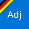 German Adjective Endings - iPadアプリ