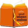 Gujarati Study Bible icon