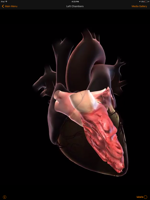 CardioSmart Heart Explorerのおすすめ画像4