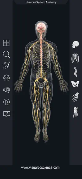 Game screenshot My Nervous System Anatomy mod apk