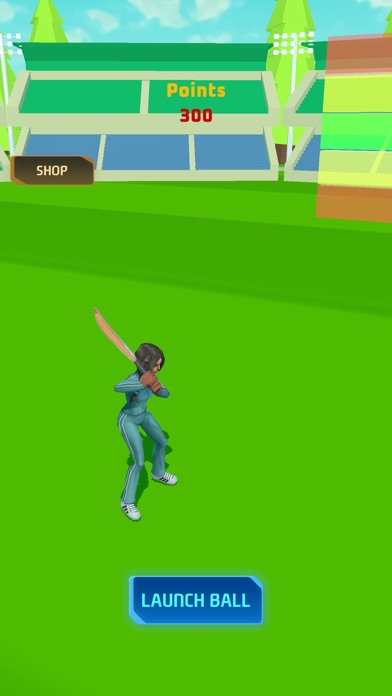 PM Cricket Sports Screenshot