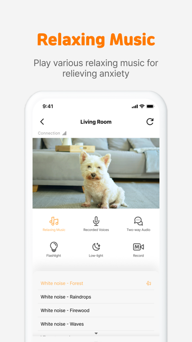 AI Pet Cam Dogibo: dog monitor