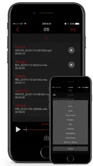 How to cancel & delete awesome voice recorder 2