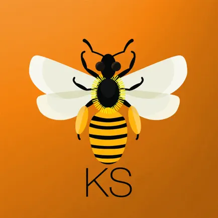 Bee Health Guru KS Cheats