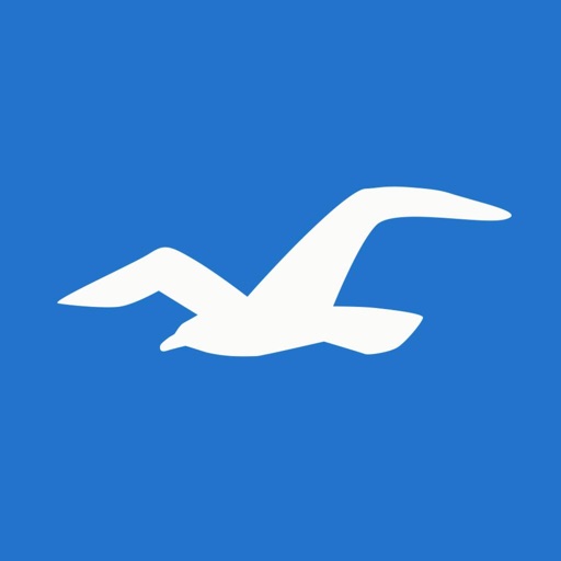 Hollister Co. Icon