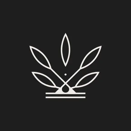 nikao fitness Читы