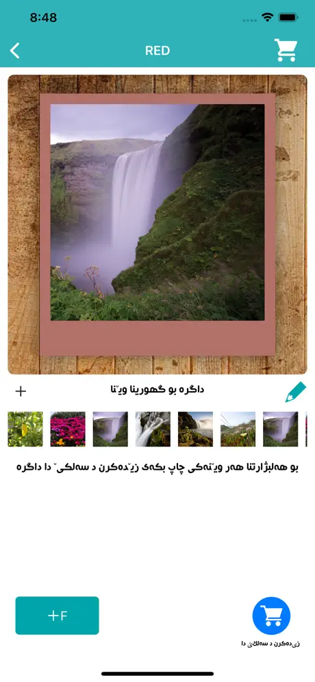 Roj Prints