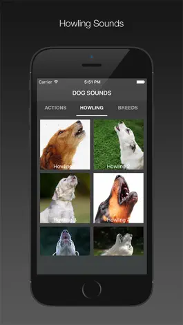 Game screenshot Dog Sounds - Collection hack
