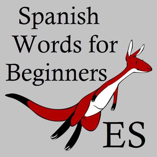 Spanish Words 4 Beginners