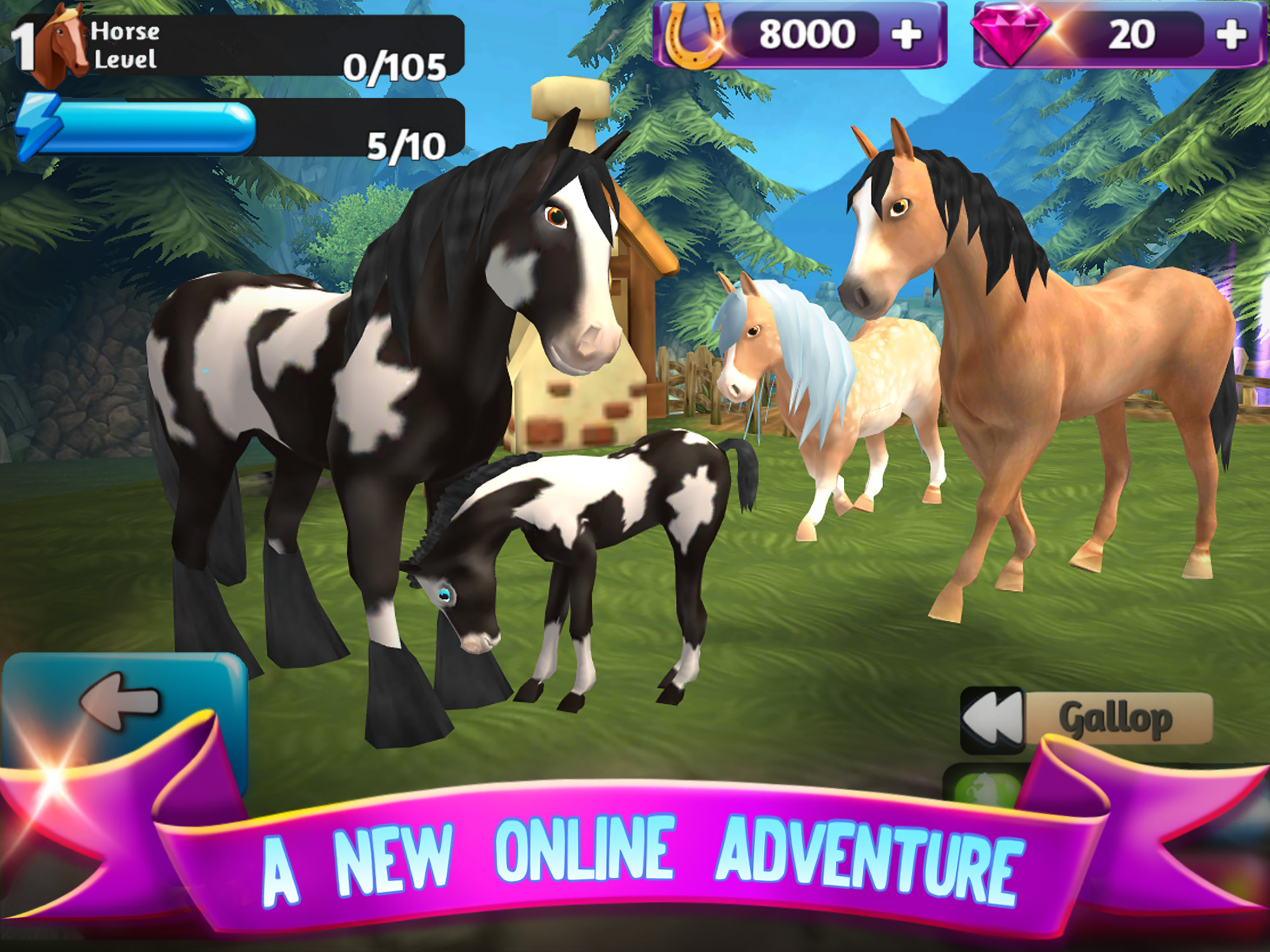 Horse Paradise: My Dream Ranch screenshot 11