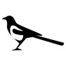 Get Magpie Stickers for iOS, iPhone, iPad Aso Report