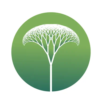 Listen with Terra Читы