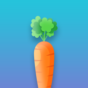 Tasty Salad Maker