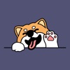 宠物饲养宝 icon