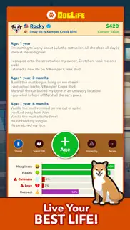 bitlife dogs - doglife iphone screenshot 4