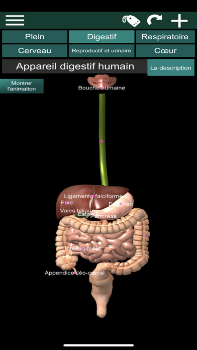 Screenshot #2 pour Organes 3D (Anatomie)