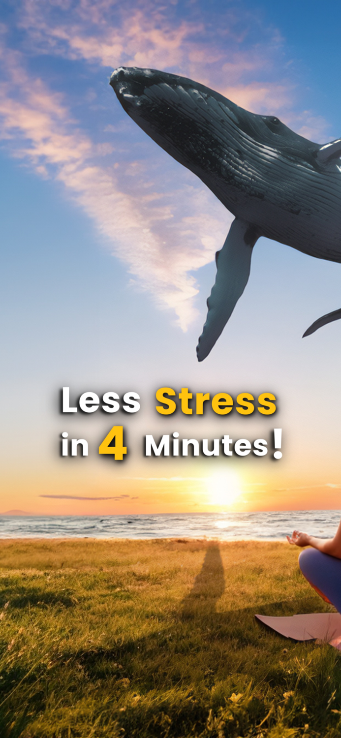 Visutate Augmented Reality