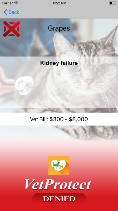 VetProtect Screenshot