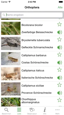 Game screenshot Orthoptera hack