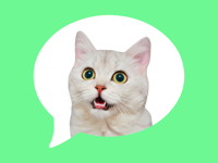 Message Stickers cat emoticon