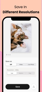 Convert: GIF Maker & Wallpaper screenshot #4 for iPhone