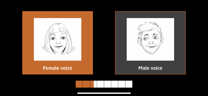 Alsace Age of Castles