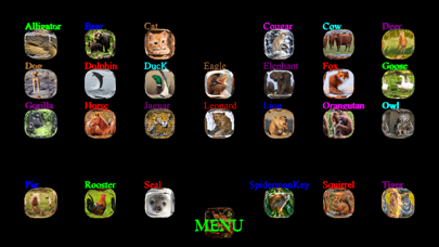Animal Touch Sounds Screenshot