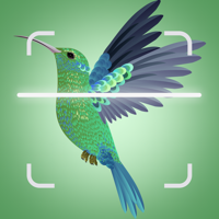 Bird Identifier and Field Guide