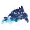IndiGO icon
