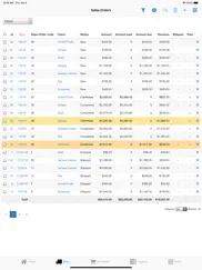 nano sales manager ipad images 2