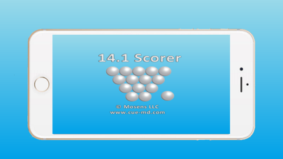 14.1 Scorer Screenshot