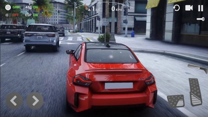 UCDS/ULTIMATE CAR DRIVING SIM Screenshot