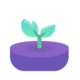 MindSeed