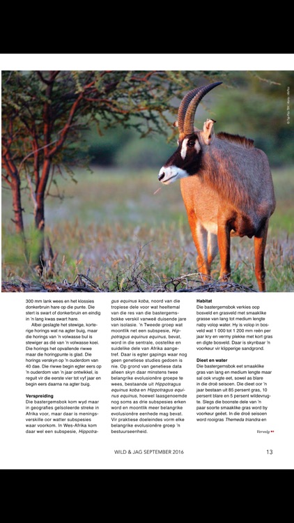 Wild&Jag / Game&Hunt