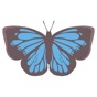 Pop and chic butterfly sticker app download