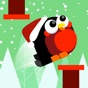 Square Bird Watch - Block Jump app download