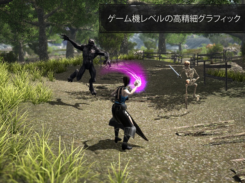 イーヴィル・ランズ MMORPG アクション冒険 screenshot 11