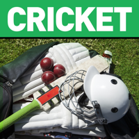 Cricket Summer Guide