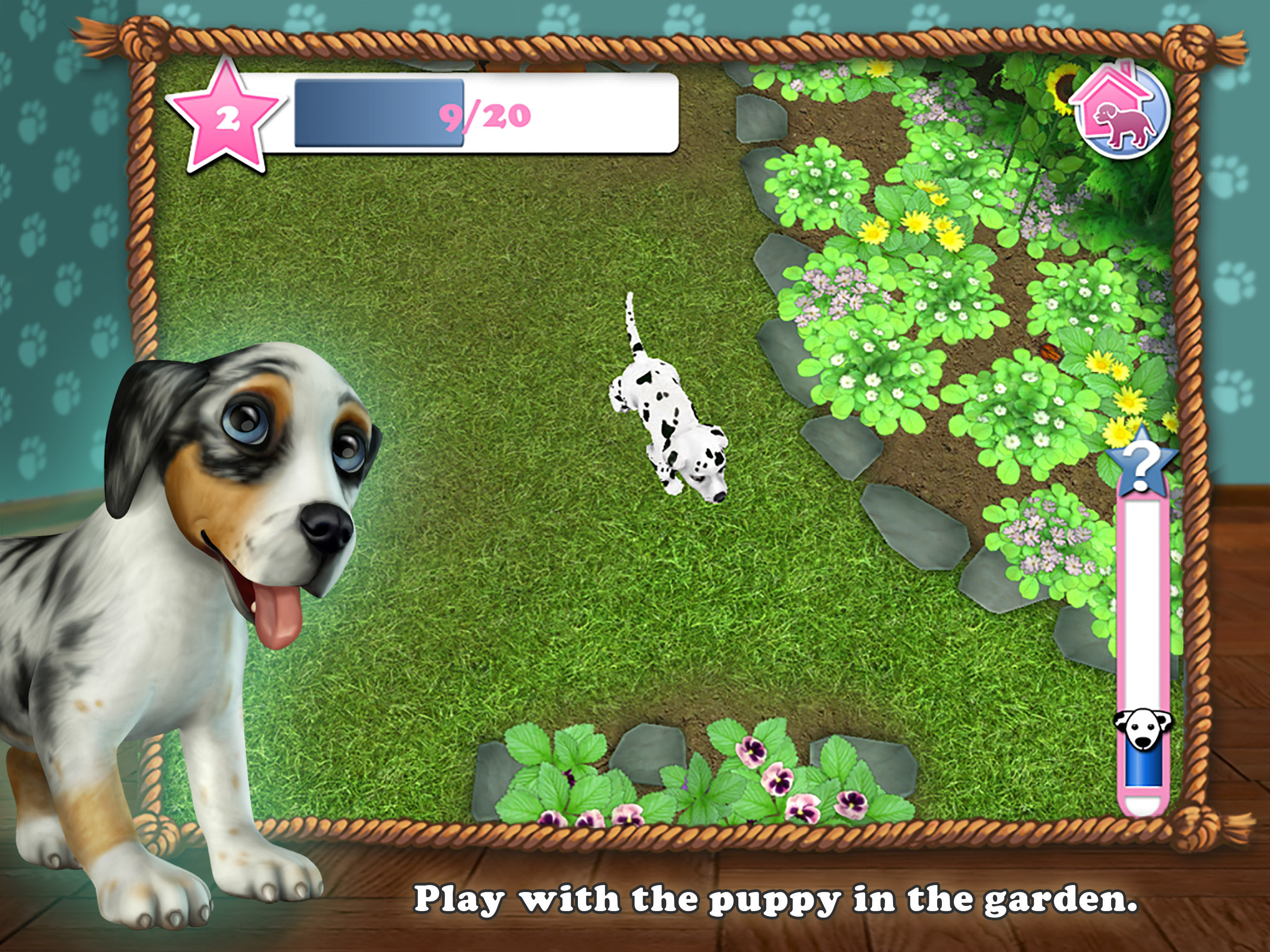 Dog World Premium - My Puppy