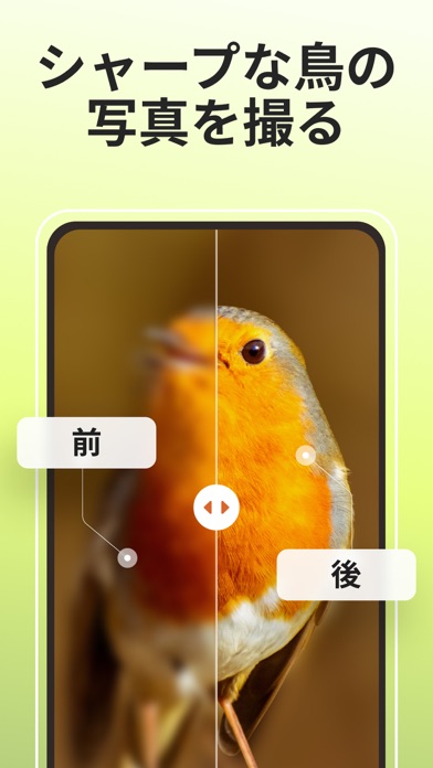 Picture Bird - 撮ったら、判る--1秒鳥図鑑のおすすめ画像3