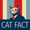 Icon Cat Fact - Yes! Cat have fact